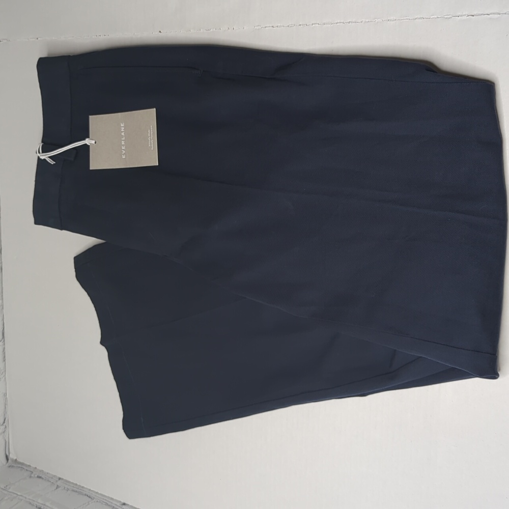 NWT everlane performance pants